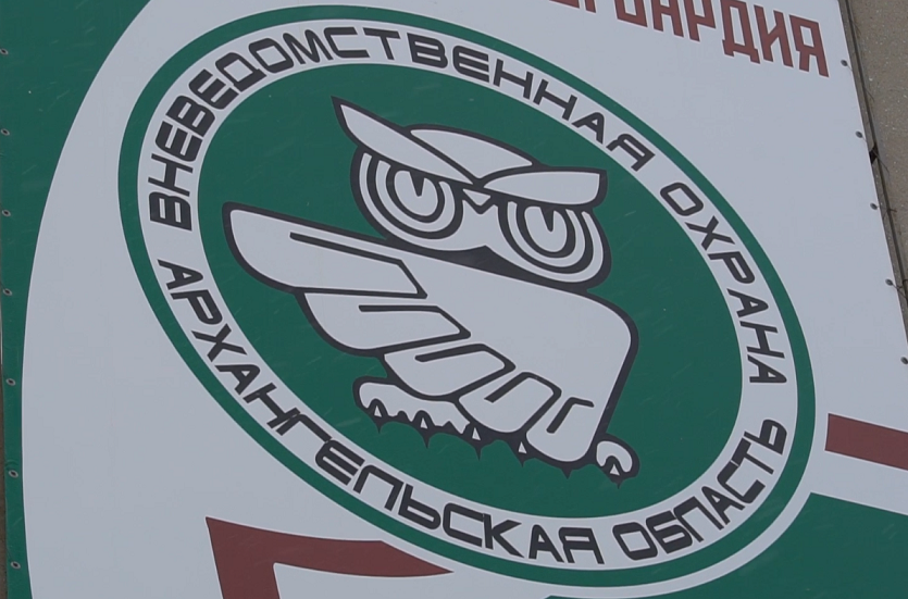 К вневедомственной охране Росгвардии в Архангельске прилетела редкая сова